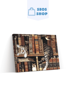 Un chat endormi dans une bibliothèque | Diamond Painting | Peinture Diamant