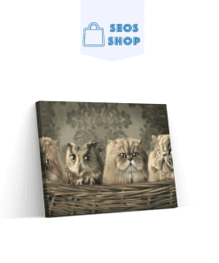 Hibou et chats | Diamond Painting | Peinture Diamant