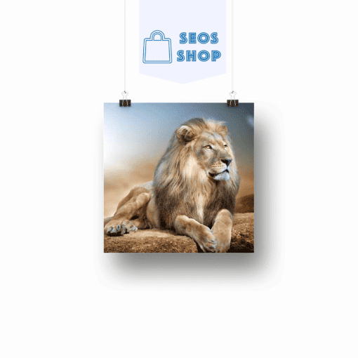 Un lion regardant au lointain | Diamond Painting | Peinture Diamant