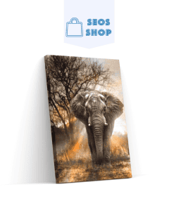 Éléphant d'Afrique | Diamond Painting | Peinture Diamant