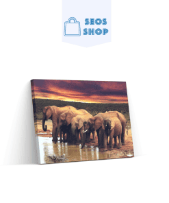 Une famille d'éléphants au bord de l'étang | Diamond Painting | Peinture Diamant