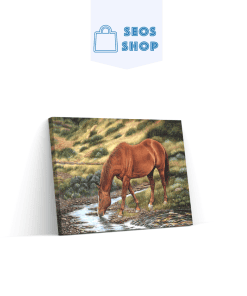L'eau du cheval brun | Diamond Painting | Peinture Diamant