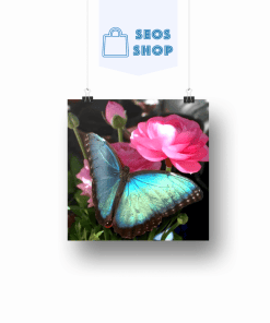 Papillon bleu Fleur rose | Diamond Painting | Peinture Diamant