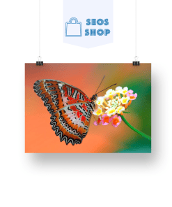 Papillon orange sur une Fleur | Diamond Painting | Peinture Diamant