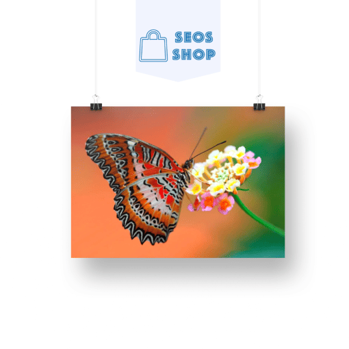 Papillon orange sur une Fleur | Diamond Painting | Peinture Diamant
