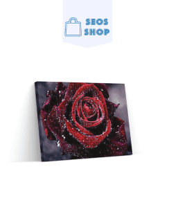 Rose Rouge | Diamond Painting | Peinture Diamant