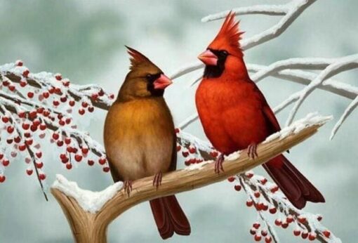 Diamond Painting - Couple d'Oiseaux sur Branche | Seos Shop ®