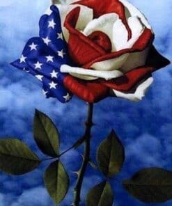 Diamond Painting - Rose drapeau américain | Seos Shop ®