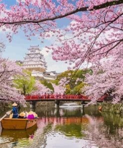 Fleurs de cerisiers au Japon Diamond Painting | Seos Shop ®