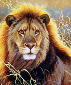 Lion dans la savane Diamond Painting | Seos Shop ®
