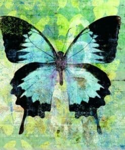 Papillon Vert et Noir Diamond Painting | Seos Shop ®