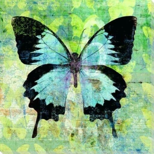 Papillon Vert et Noir Diamond Painting | Seos Shop ®