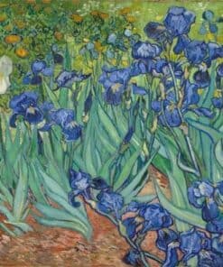 Van Gogh Iris Diamond Painting | Seos Shop ®