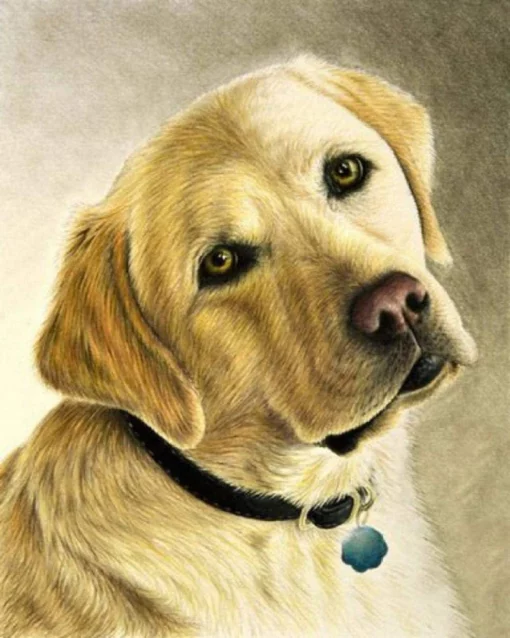 Diamond Painting - Portrait d'un Labrador | Seos Shop ®