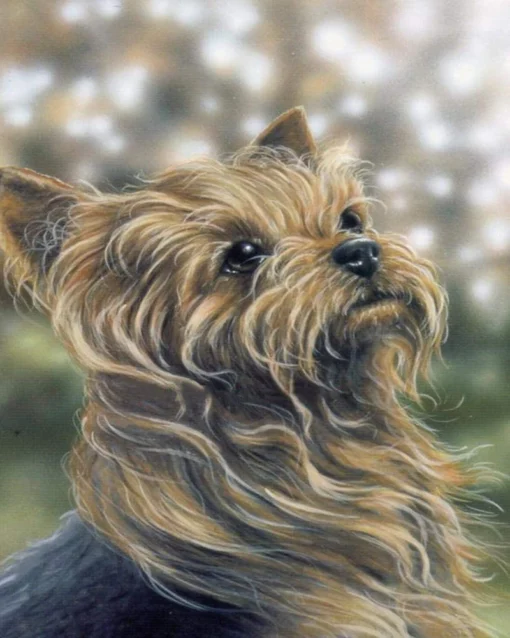 Diamond Painting - Portrait d'un joli chien | Seos Shop ®